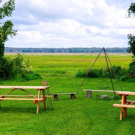 Отель Wilcza Nora - Pole Biwakowe Dolistowo Nowe Экстерьер фото